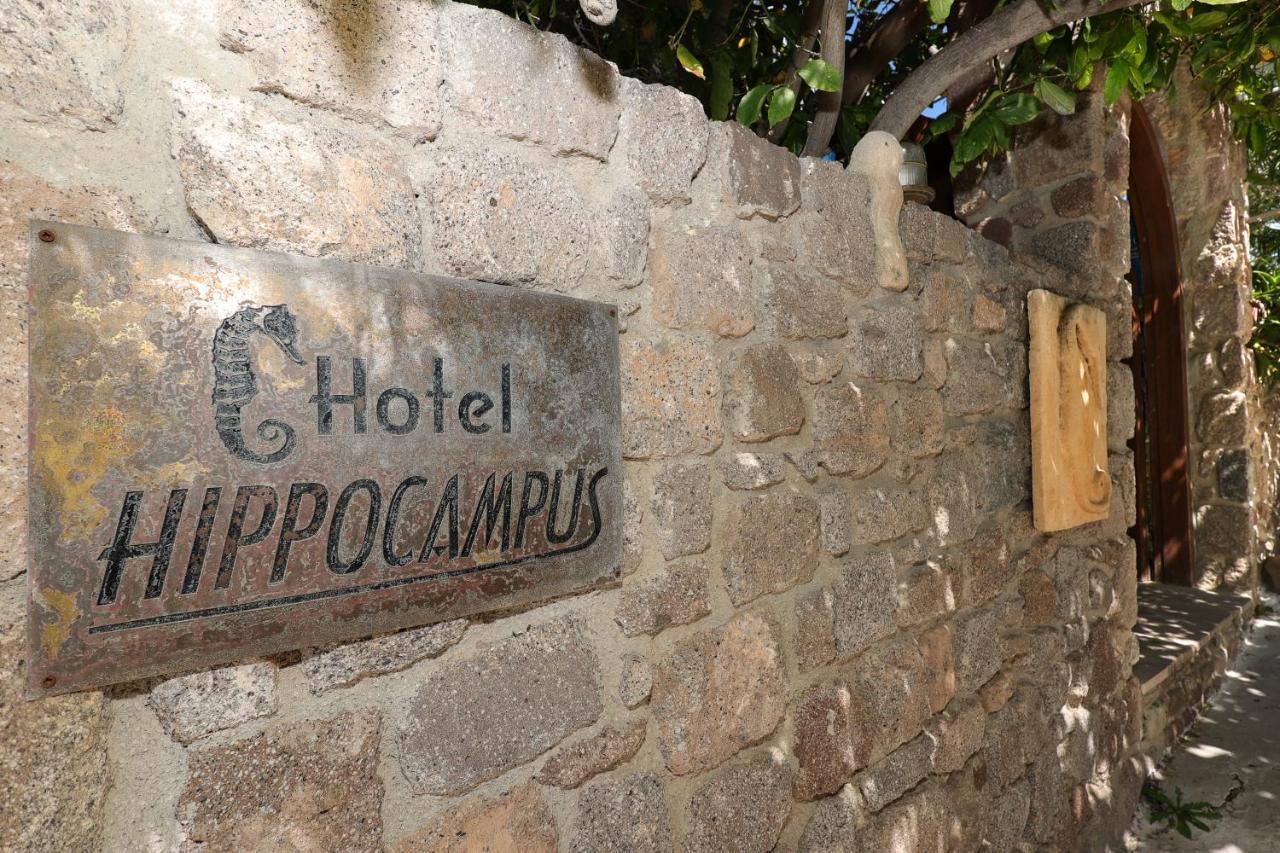 Hotel Hippocampus Perdika  Dış mekan fotoğraf